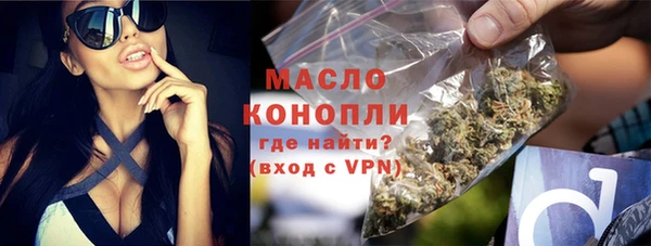 твердый Дмитровск