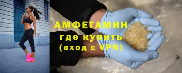 твердый Дмитровск