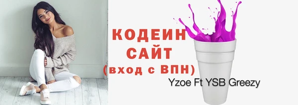 ешки Ельня