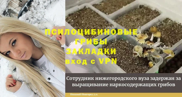 ALPHA-PVP Елизово