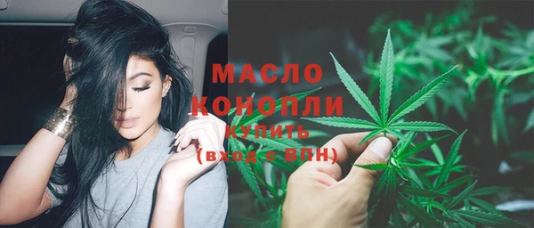 твердый Дмитровск